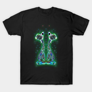 Aquarius 7c Black T-Shirt